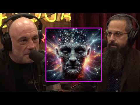 Debating the Simulation Theory and the Nature of Our Reality | Joe Rogan