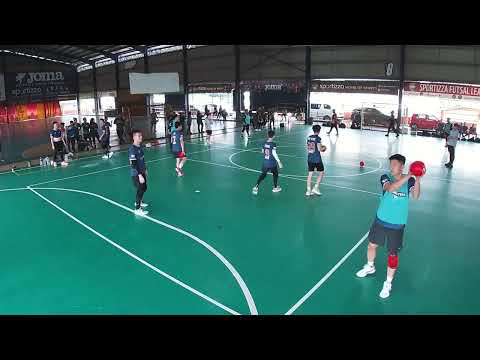 NDC M Grand Finals 2022 Group Stage Wolf vs Black Mamba 11-0