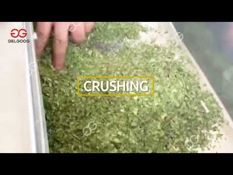 Herb Leaves Washing Drying Processing Machine Line #drying