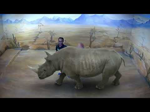 download lagu mp3 mp4 Virtual Reality Museum In India, download lagu Virtual Reality Museum In India gratis, unduh video klip Virtual Reality Museum In India