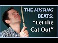 Emergency Drummer - Who Let The Cats Out - John Scofield