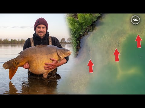 Karpfenangeln am Baggersee – so klappt es instant