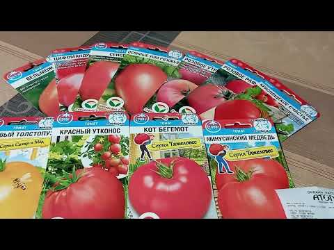 Купить Семена Огурцов Борисыч