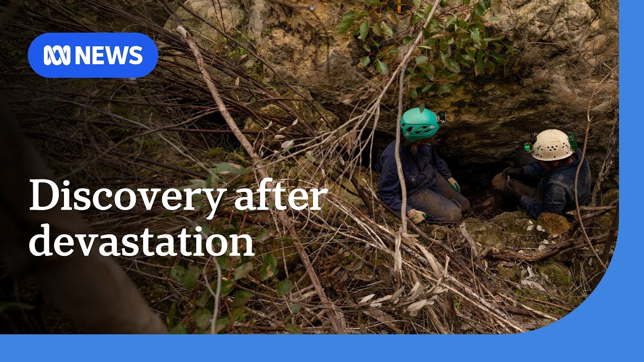Wondrous Phoenix cave rises from the ashes of Kangaroo Island bushfires | ABC NEWS