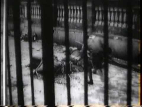 Prelude to War (1942)