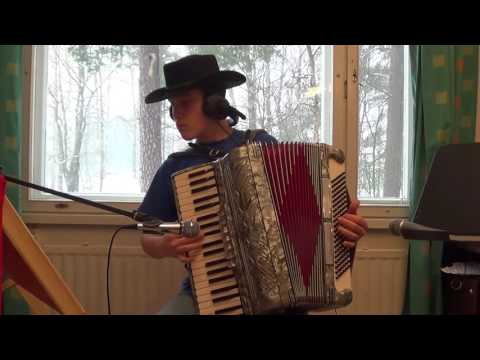 История Любви  Аккордеон Мюзетт   Алексеев Егор Владимирович
