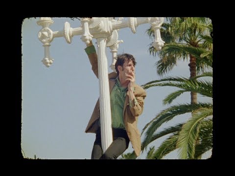 download lagu mp3 mp4 Don The Tiger, download lagu Don The Tiger gratis, unduh video klip Don The Tiger