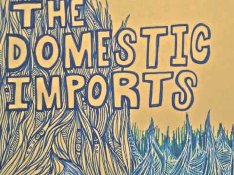 The Domestic Imports - What You've Done