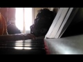 Interprétation piano et voix - Garou, Charlotte Cardin ...