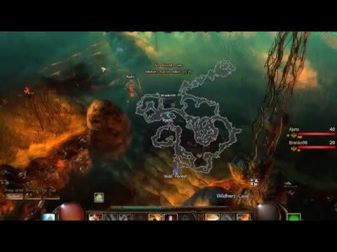 DrakenSang Wildherz with 40lvl