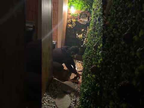 庭のパティオにリラクゼーションエリアを作成する木製アームチェアアカプルコイロハモミジ