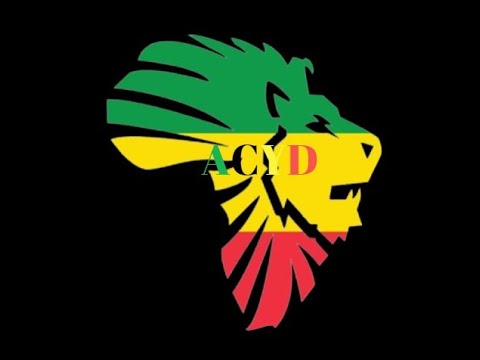 THERE IS NO END ISRAEL VIBRATION