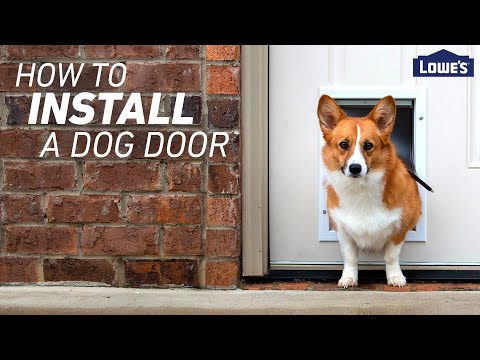 How To Install a Dog Door