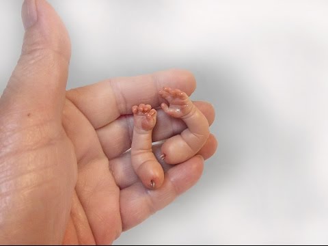 Sculp Mini Hand Part 2/8 - Mini Baby Pose-Able (V6)