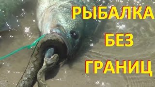 Ссылка