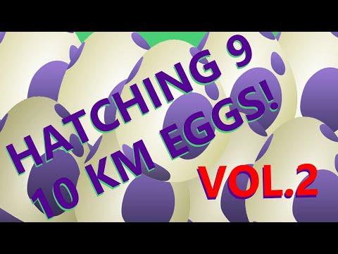 SCHIUDO 9 UOVA DA 10 KM! VOL. 2!