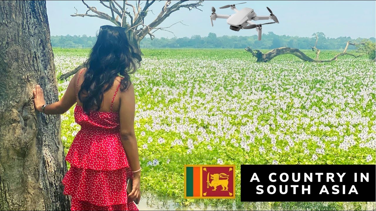 Behold the captivating panoramas of Lahugala-Kitulana National Park.