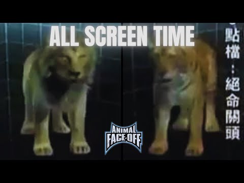 Animal Face-Off [2004] | All Virtual Lion and Tiger Screen Time