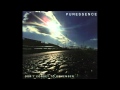 Puressence - don't forget to remember 