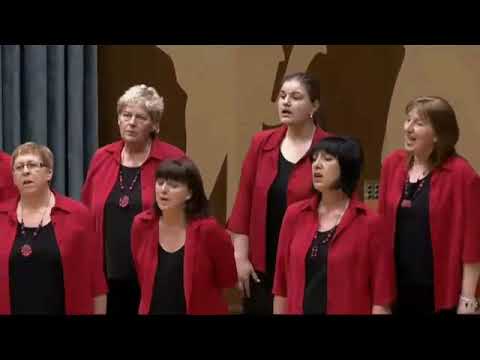 MOJE VOKALNE SKUPINE V SLIKI IN PETJU – Zborovodja Janez Kolerič, od 1979 do 2019 – 1. DEL.