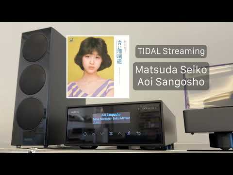 REVOX STUDIOMASTER M300 (TIDAL, T700 LP, FM RADIO)