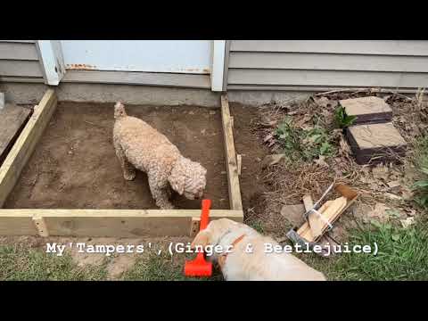 How to Pour a Small Concrete Slab for backdoor. 3 feet x 3 feet. DIY. My Mistakes.