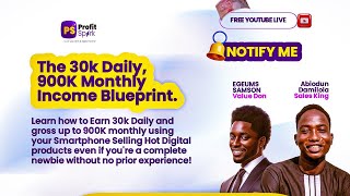The 30K Daily, 900K Monthly Income Blueprint