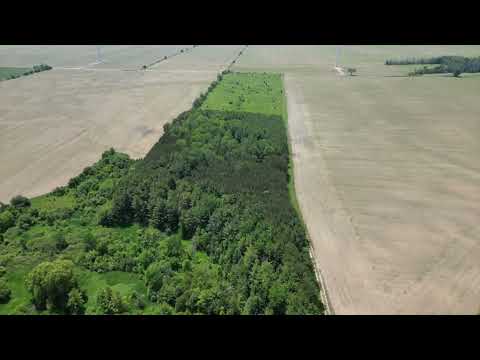 3653 Bruce Road Ripley No Titles