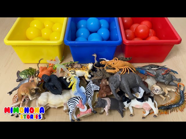 Vídeo relacionado con XRVRILE 9 figuras de animales salvajes de safari, mini animales del bosque, juguetes de zoo, juguetes de granja, animales de granja, figuras de animales, juguetes de animales de safari para niños