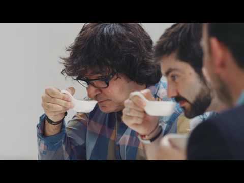 Cata de aceite - Yo, Verde Picual 500ml