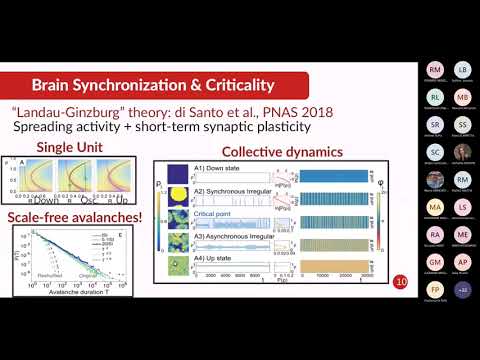 Synchronization transitions and brain criticality - Victor Buendía Ruiz-Azuaga - SIFS Young Seminar