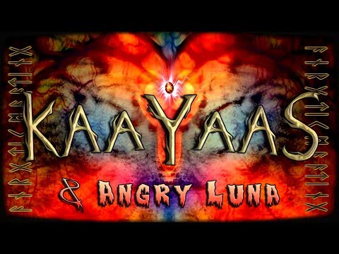 Kaayaas & Angry Luna - Fractal Birds - 157 (OVNI ShamanS)