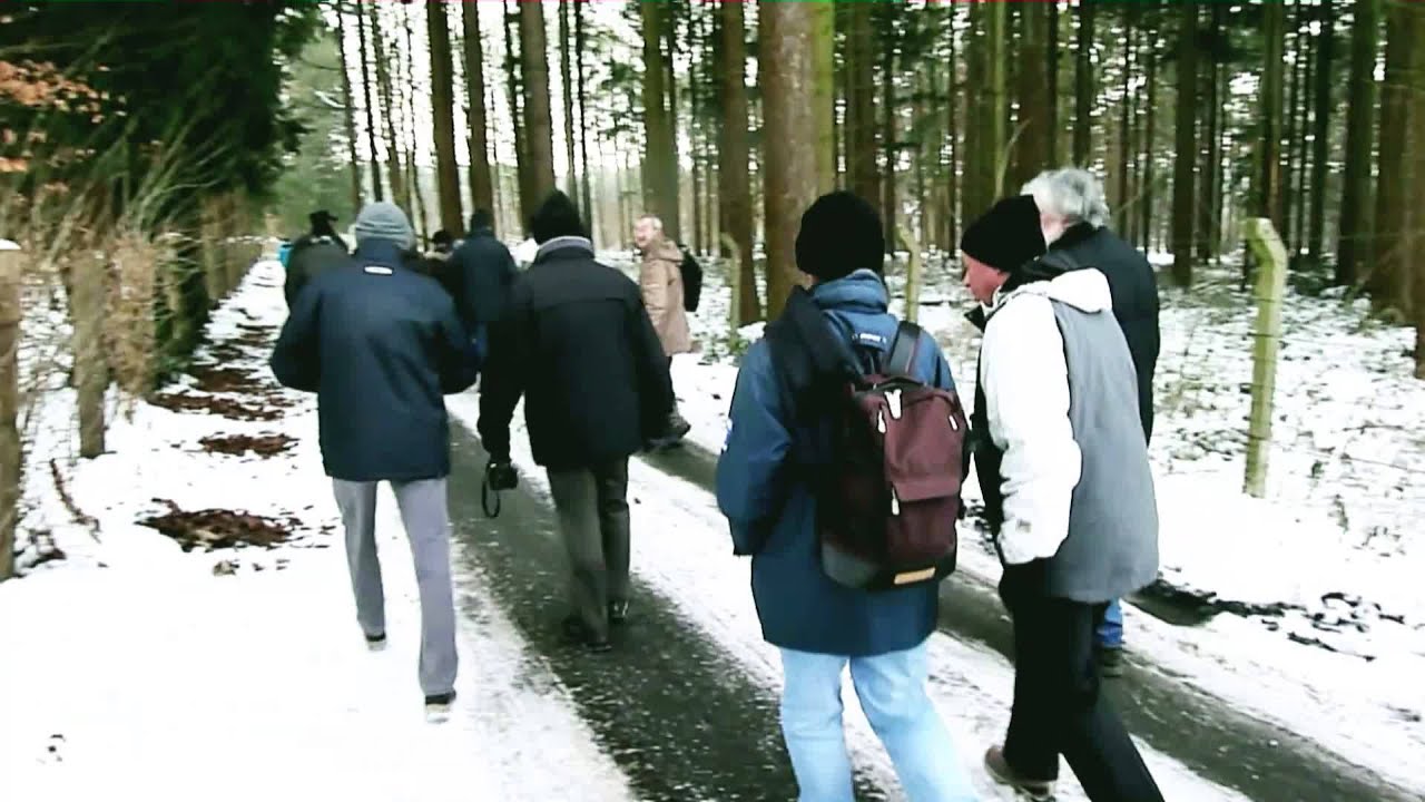 Dworpwandeling te DWORP en het Hallerbos 24-01-2013