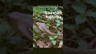 Download lagu sandy vlog dual#funny #viral #trending#shorts #comedy mp3