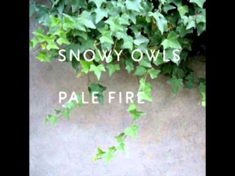 The Snowy Owls - Pale Fire