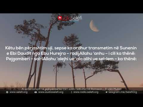 Ai që ka ushqim ne gojë përderisa thirr ezani i sabahut në Ramazan – Shejkh Mukbil