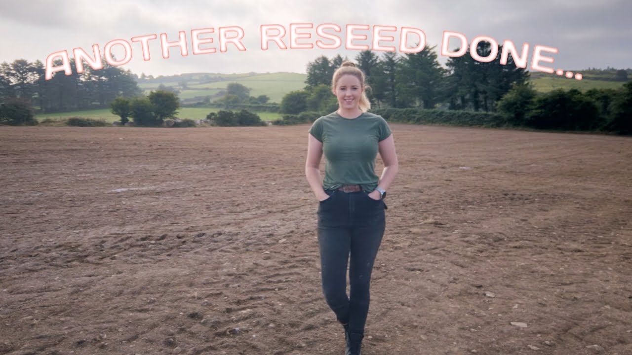 RESEED START TO FINISH & PLANS FOR IT