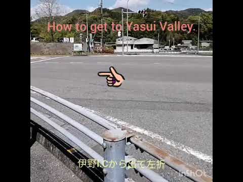 ニヨドブルーで人気の安居渓谷へ！／WAY TO YASUI GORGE