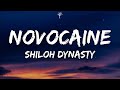 Shiloh Dynasty - Novocaine (Lyrics)