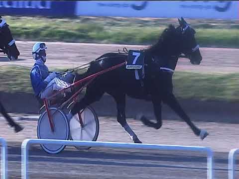 Trotto 29/04/2019 - 8ª corsa