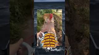 Download lagu Momen Lucu Abang-Abang Naik Kereta Luncur Ditarik Anjing – Bikin Ngakak! 🛷🐶😂 mp3 Download lagu Momen Lucu Abang-Abang Naik Kereta Luncur Ditarik Anjing – Bikin Ngakak! 🛷🐶😂 mp3