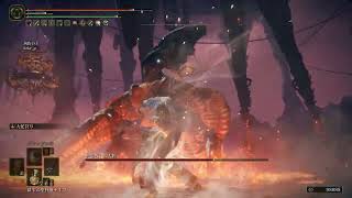 【第043夜】ハカハカしながらエルデンリング褪せ人Edition【Switch2】