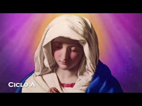 Homilía| 18 de Diciembre, Feria de Adviento 18.12.2025| Pbro. Javier Martín FM|