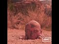 Hank's Resurrection | Alternate Breaking Bad Ending