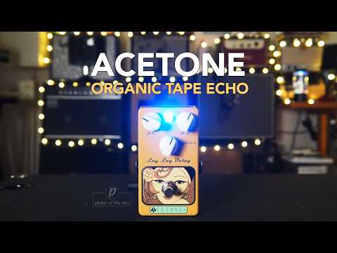 AceTone Electronics LLD-01 Lay Lay Delay Organic Tape Echo *LIKE NEW* image 2