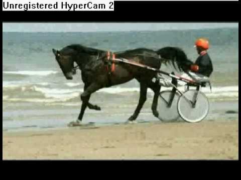 Prix D'Amerique 2009