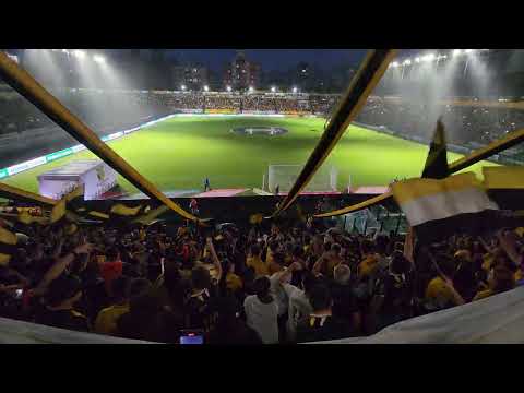 Que torcida Espetacular é a barra Os Tigres! Vídeo em 4k