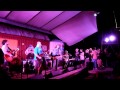 The Gourds - Drop The Charges @ The Albino Skunk Fest ( 2nd set) 10/08/11