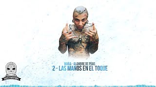 Video Las Manos En El Toque (Audio) de Pinche Mara