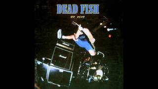 Music video thumbnail preview for Dead Fish - Iceberg by Dead Fish